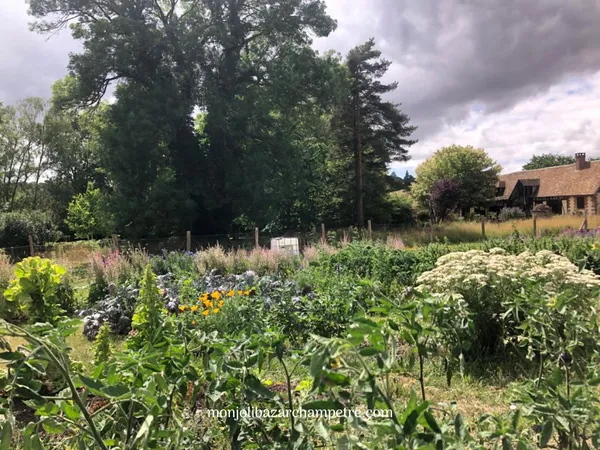 ANNULÉ - Rendez-vous aux Jardins - Jardin de production de plantes médicinales