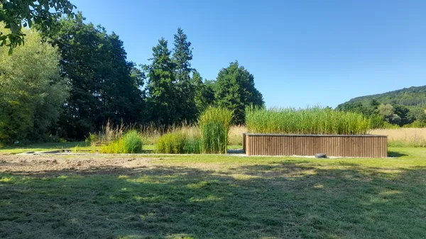 Découverte d'un jardin d'assainissement