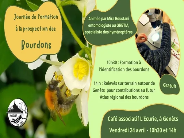 Journée de prospection "Bourdons"