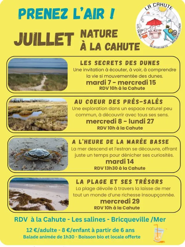 Au coeur des prés-salés