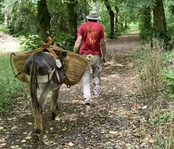 Balade découverte de l'âne