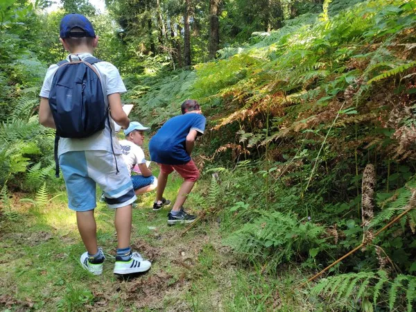 Balade sensorielle pour les 4-12 ans