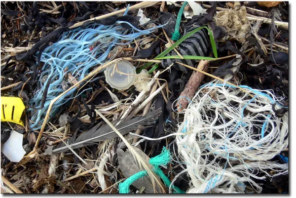 Nettoyage de la plage