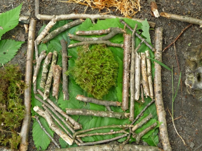 Animation nature - vannerie sauvage
