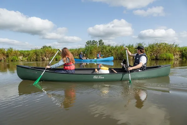 Sortie guidée en canoë