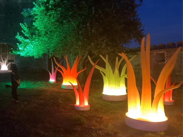 Lumières vibrantes
