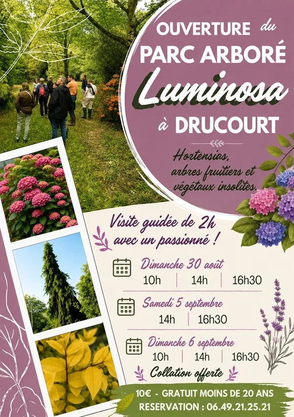 Média additionnel 1