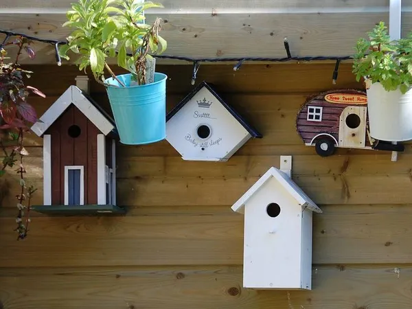 Fabrication de mangeoire à oiseaux