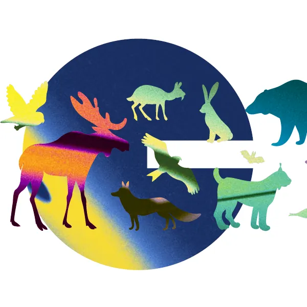 Le carnaval des animaux