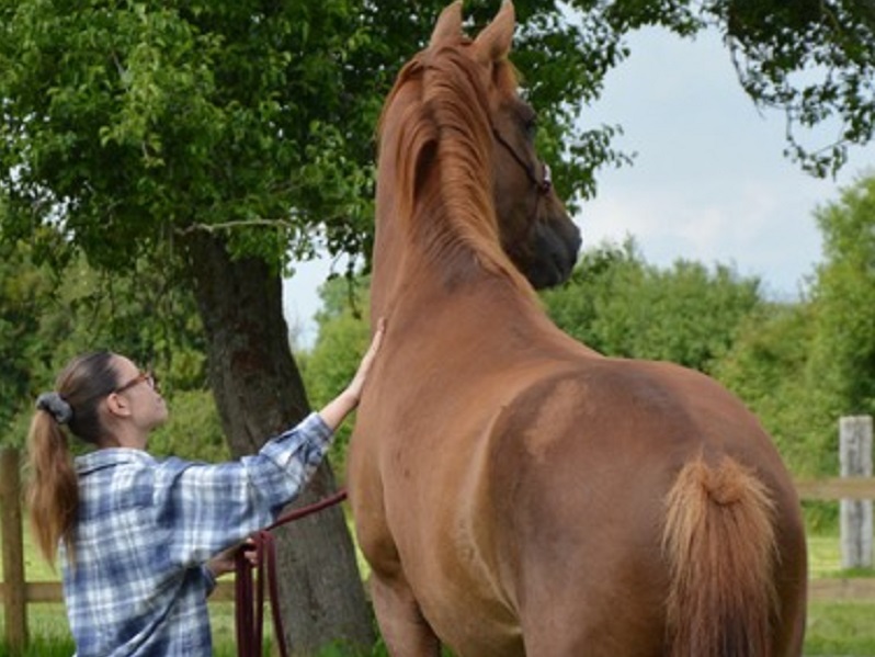 Equidays - Portes ouvertes du Horse park de la Ferme de la Baronnie