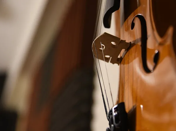 Apasionado Quartet en concert au Charbon