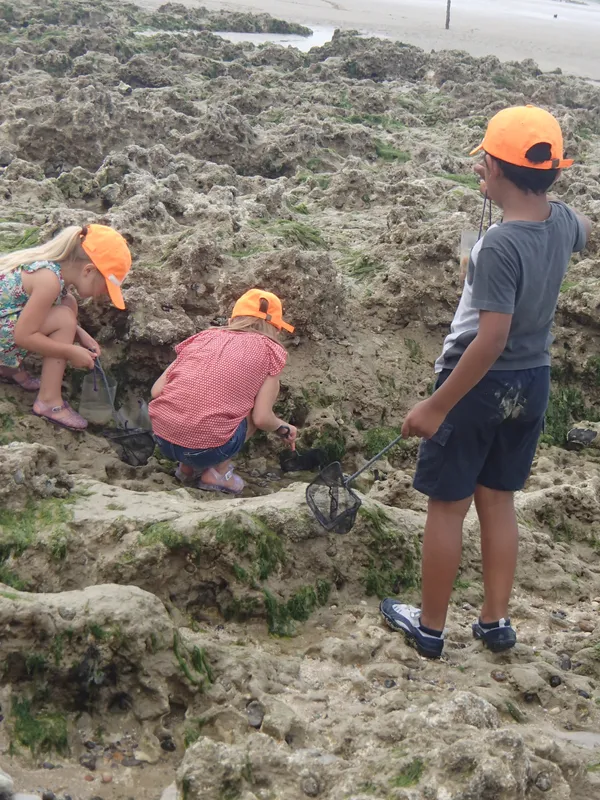 [Activité enfant] Activité Pêche à pied et Land Art