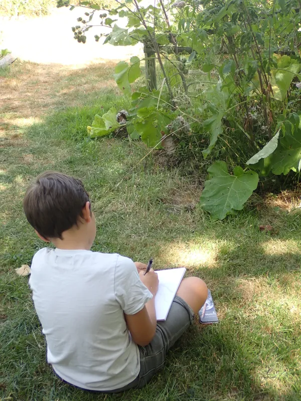 S'initier au croquis botanique
