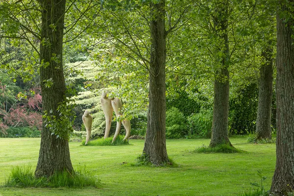 Atelier faire circuler l'énergie dans les chakras" au Jardin Terre d'Accord