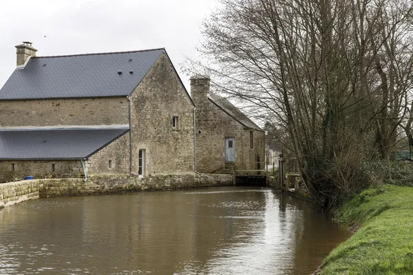 Visite du moulin et dégustation