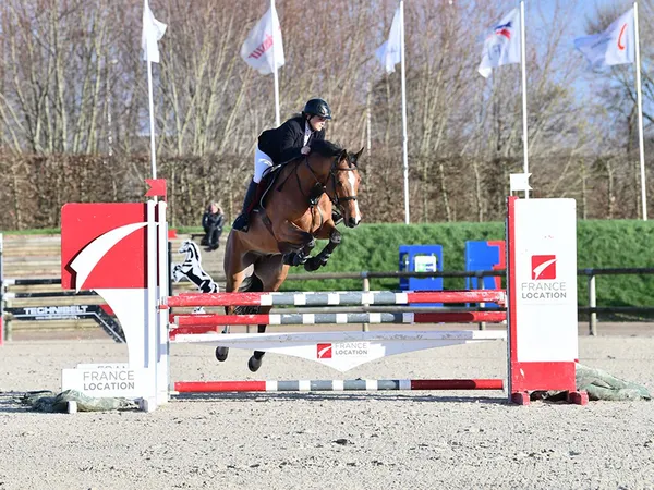 Concours de saut d’obstacles : Jeunes chevaux SHF