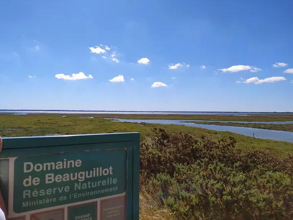 La plage et les dunes