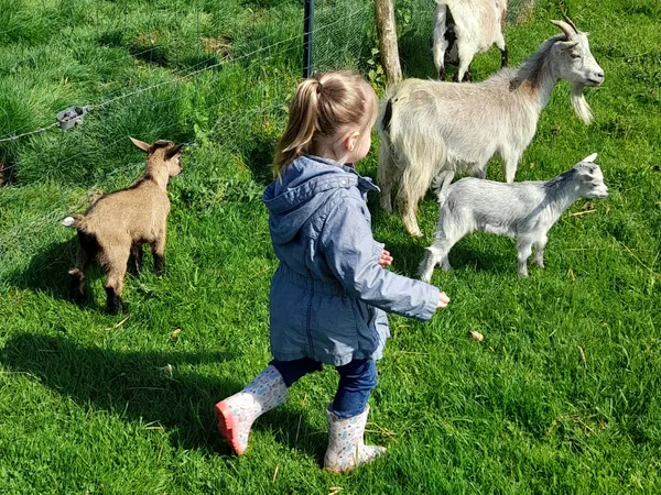 Les petits pas d'Emma