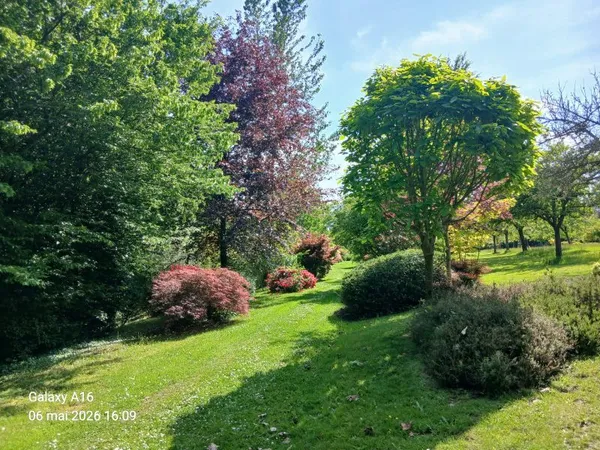 Visite du Parc du Château