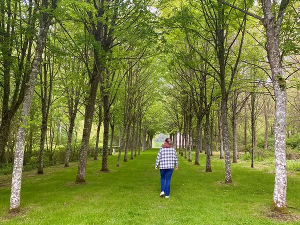 Rendez-vous aux jardins - Parc du Château d'Heudicourt