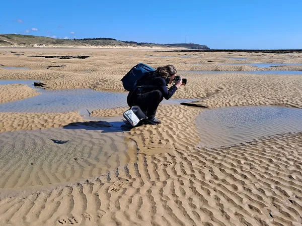 Média additionnel 1