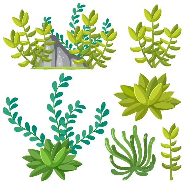 Atelier artistique: Comment les plantes font circuler l’eau à l’intérieur et autour d’elles ? - CP, CE1, CE2