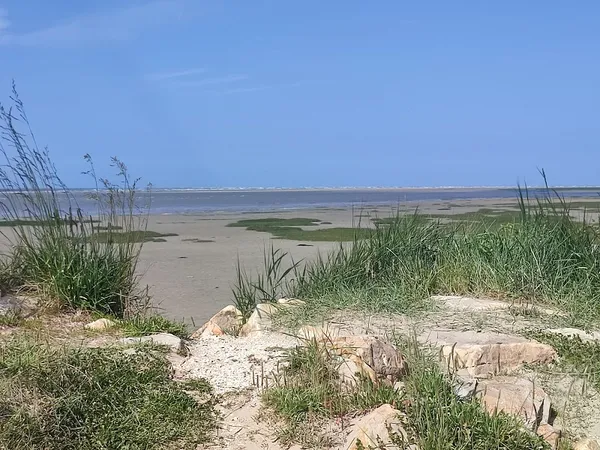 Média additionnel 4