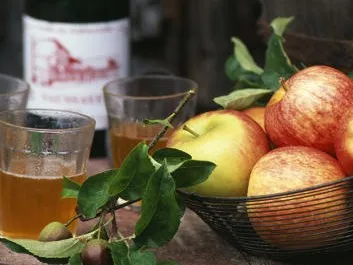 Fête du cidre et grand marché du terroir