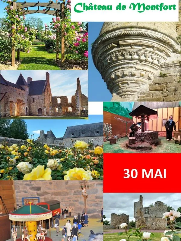 VISITE DU CHÂTEAU DE MONTFORT