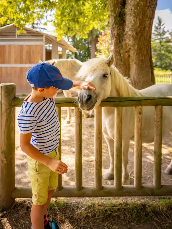 Balades à poney > Haras National
