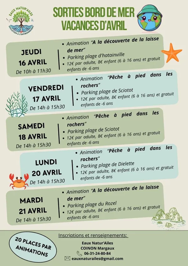 Pêche à pied dans les rochers