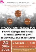 Projection Mystère