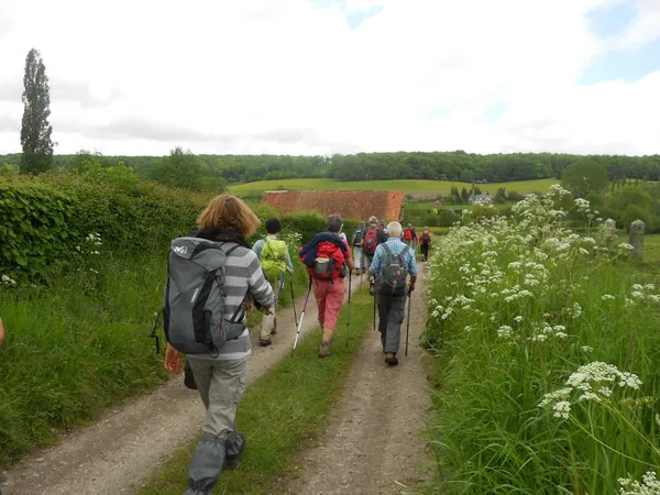 Randonnée accompagnée - Cerqueux