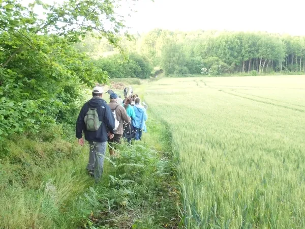 Média additionnel 2