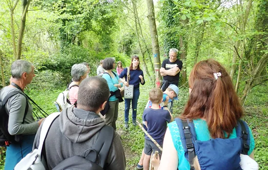 Sortie nature : Nez au vent