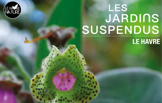 Média additionnel 1