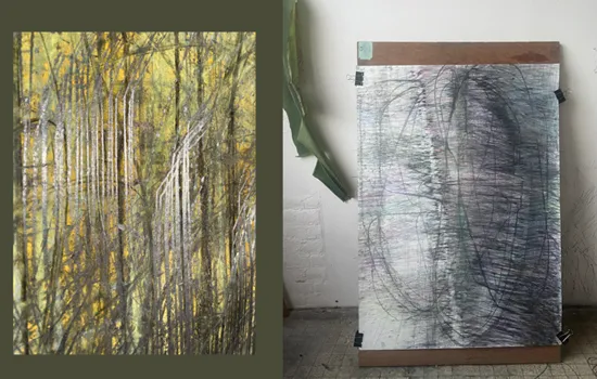 Exposition : In Vivo - Patrice Balvay