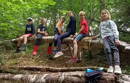 Stage nature : Aventurier en herbe