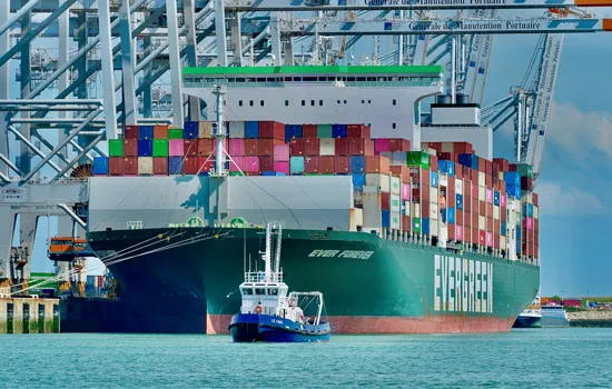 Visite guidée : Port 2000 par la mer
