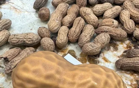 Mini-stage : Cacahuète XL