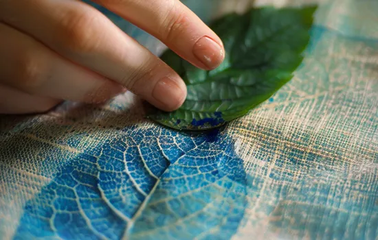Atelier créatif : Cyanotype