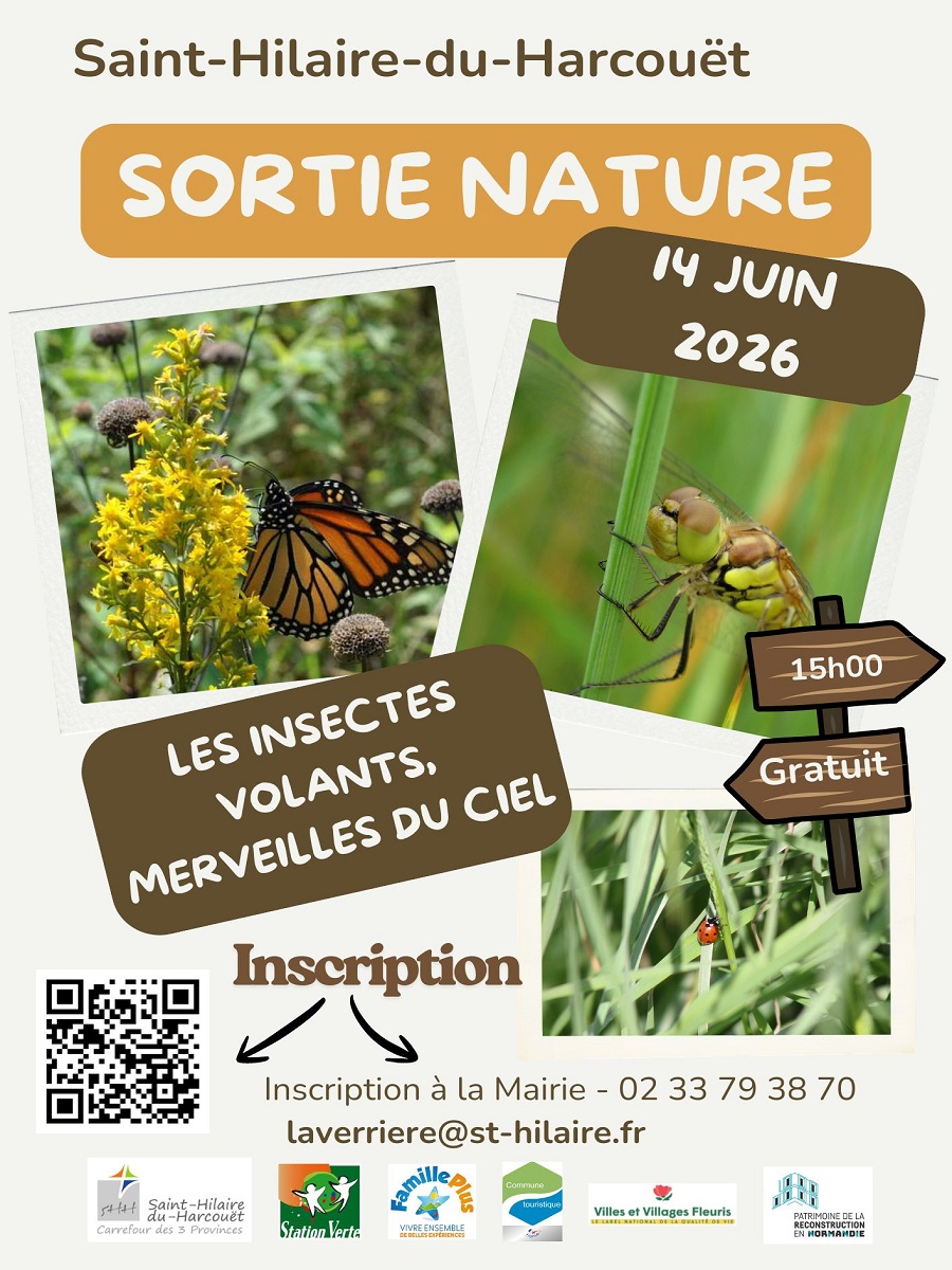 Sortie nature : Les insectes volants, merveilles du ciel