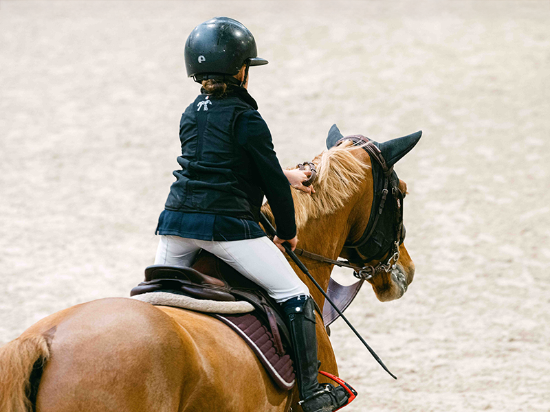 Concours de saut d'obstacles : Tournée des As