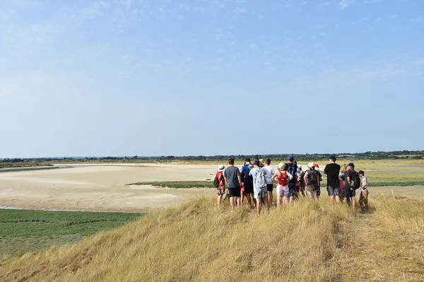 COMPLET Sortie nature : Traversée du havre de Surville