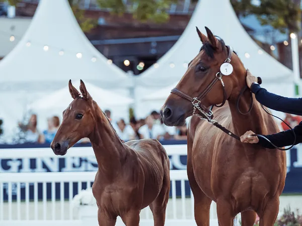 Deauville Classic Auction
