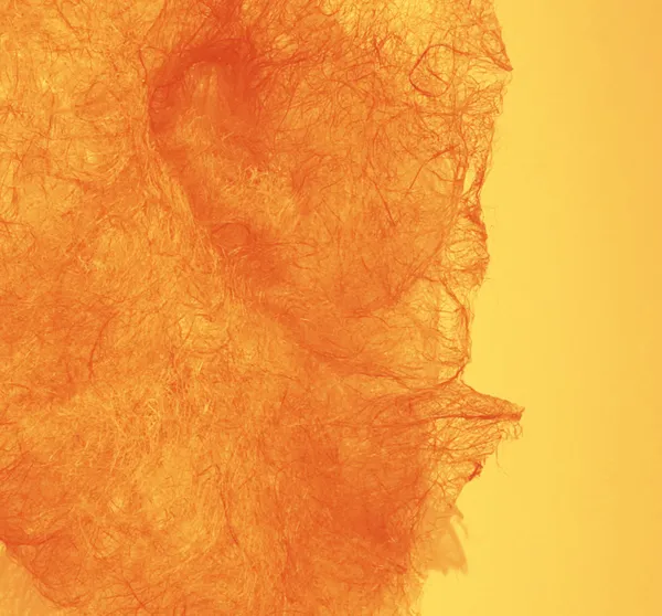 [Exposition] "Vers le soleil" de Anne-Sophie Menet