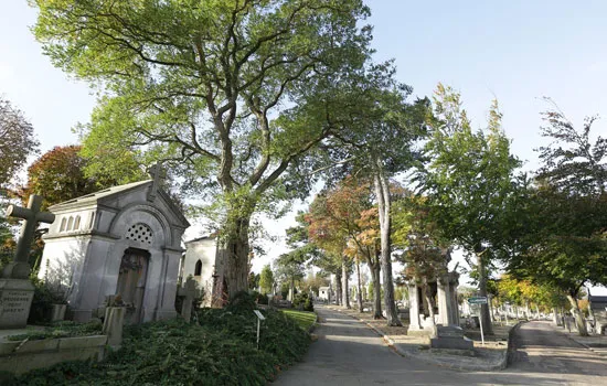 Visite guidée du Cimetière Sainte-Marie :  Sur les flots. Mer, armateurs et marins