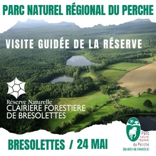 Découverte de la Réserve Naturelle Régionale de la clairière forestière de Bresolettes