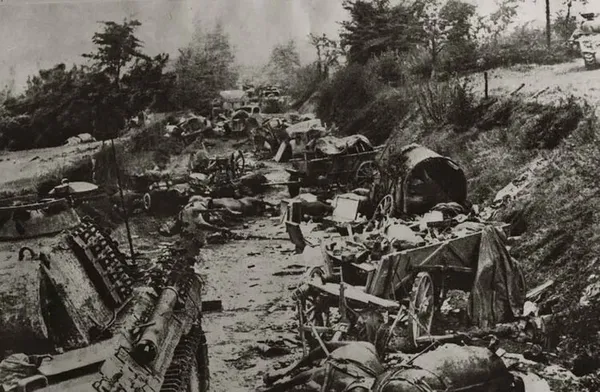Visite guidée - La Poche de Falaise-Chambois
