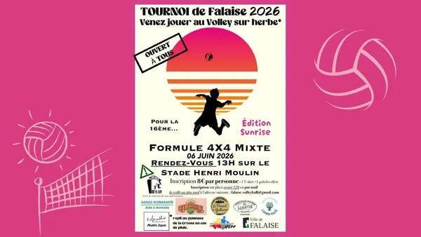 Tornoi de Volley-ball sur herbe